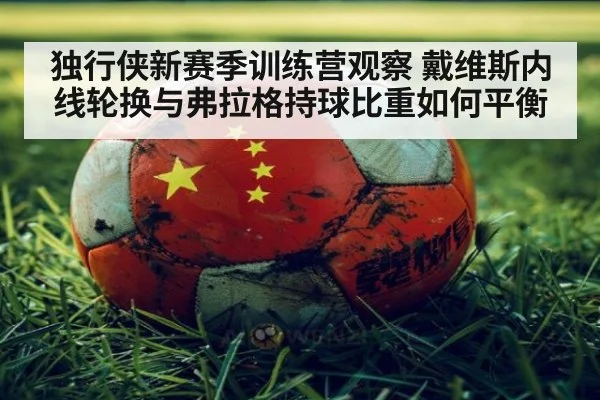 独行侠新赛季训练营观察 戴维斯内线轮换与弗拉格持球比重如何平衡